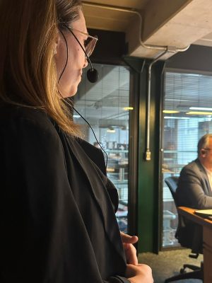 Traduzindo Executivo